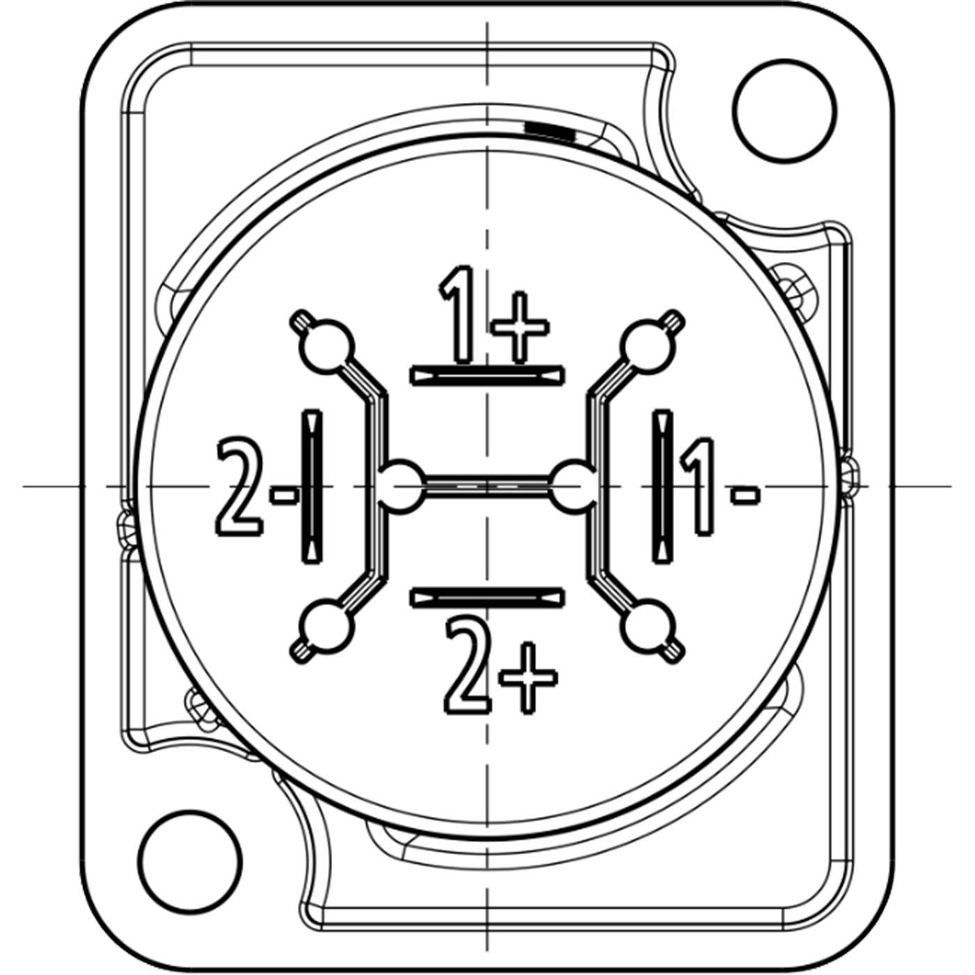Rean - Conector de 4 Polos para Chasis de Montaje Mod.RLS4MPZ _4