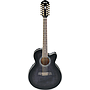 Ibañez - Guitarra Electroacústica AEL de 12 Cuerdas, Color: Negro Mod.AEL2012E-TKS_21
