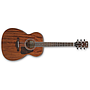Ibañez - Guitarra Acústica Artwood, Color: Caoba Mod.AC340-OPN_14