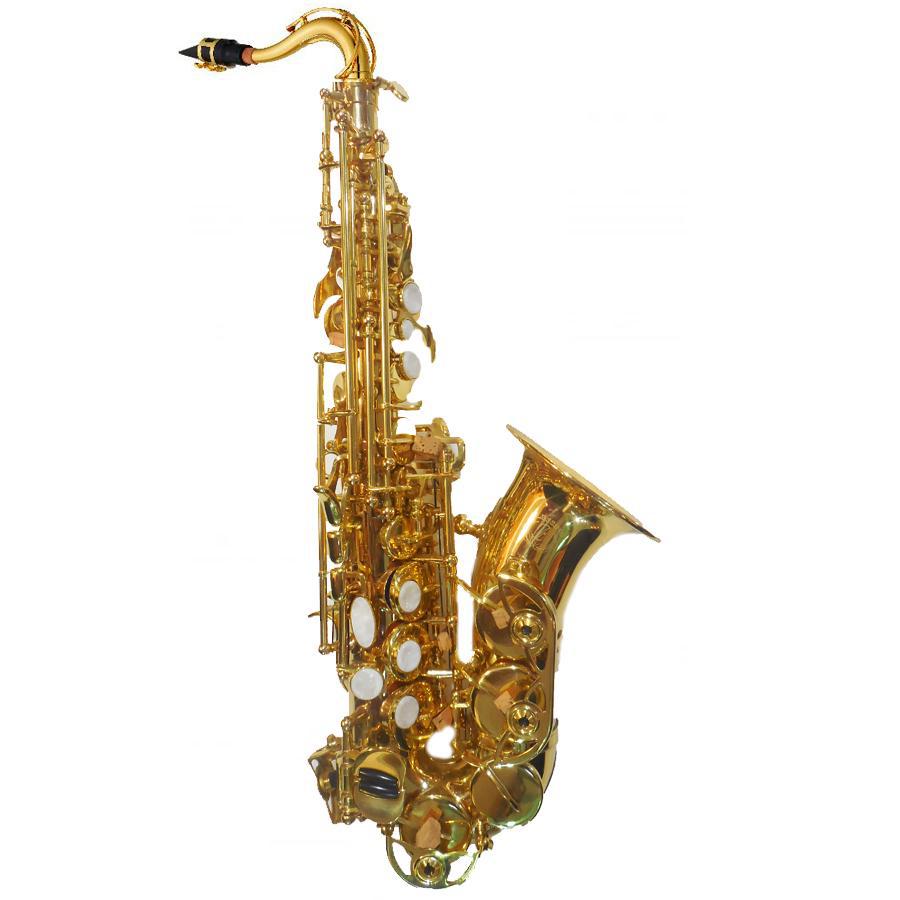 Blessing - Sax Soprano Curvo Sib, Laqueado con Estuche Mod.6434L