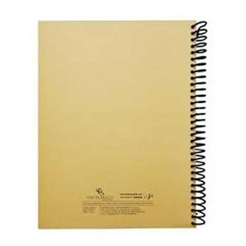 Vicent Bach - Cuaderno Profesional de 100 Hojas, 80 Pautadas y 20 Rayadas Mod.VBCP10_94