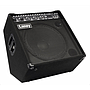 Laney - Combo AudioHub Usos Multiples 300W 1x15 Mod.AH300_81