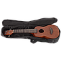 Ibanez - Ukulele Caoba Con Funda Mod.UKS100-OPN